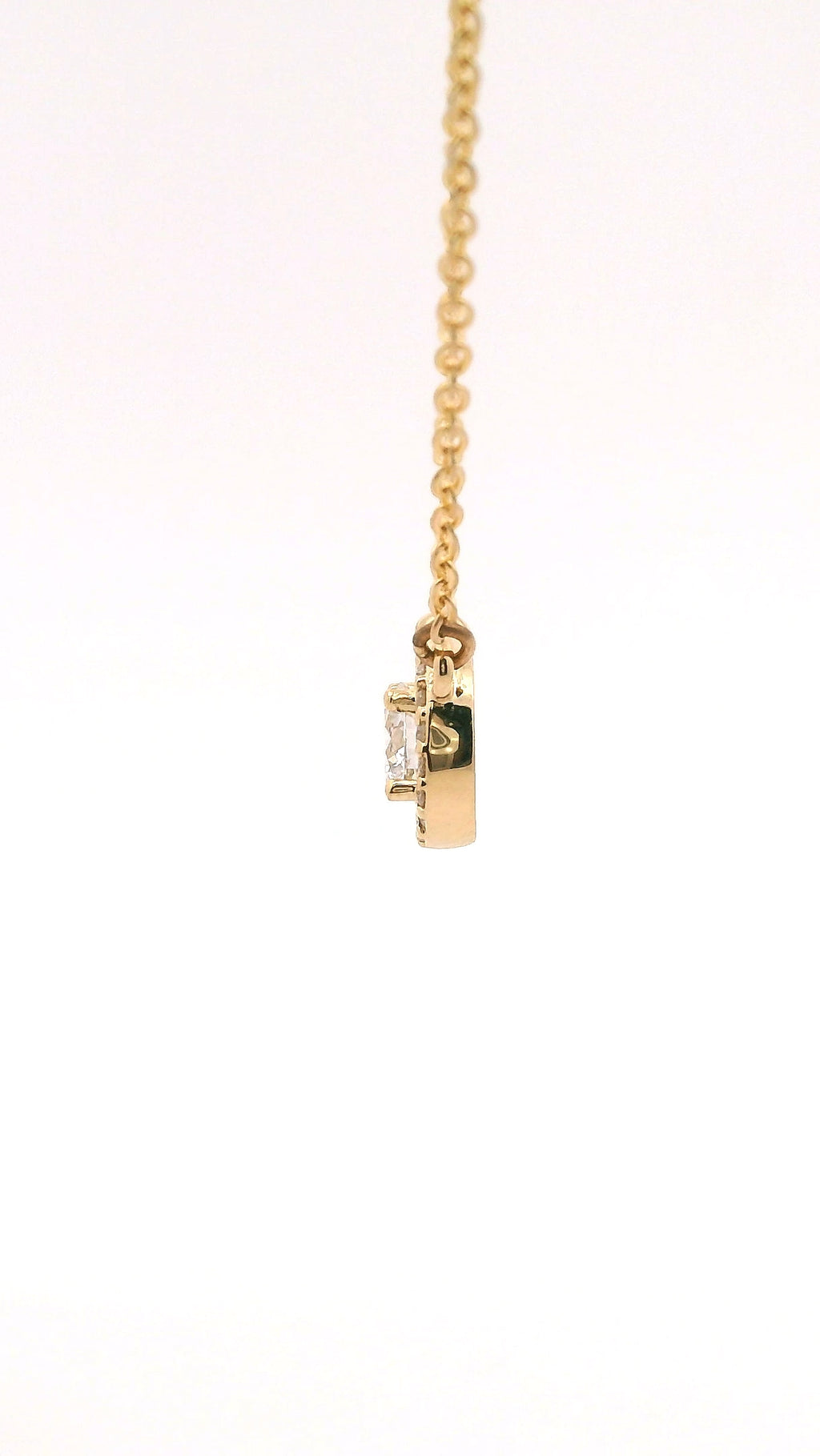 Collar Redondo y Halo