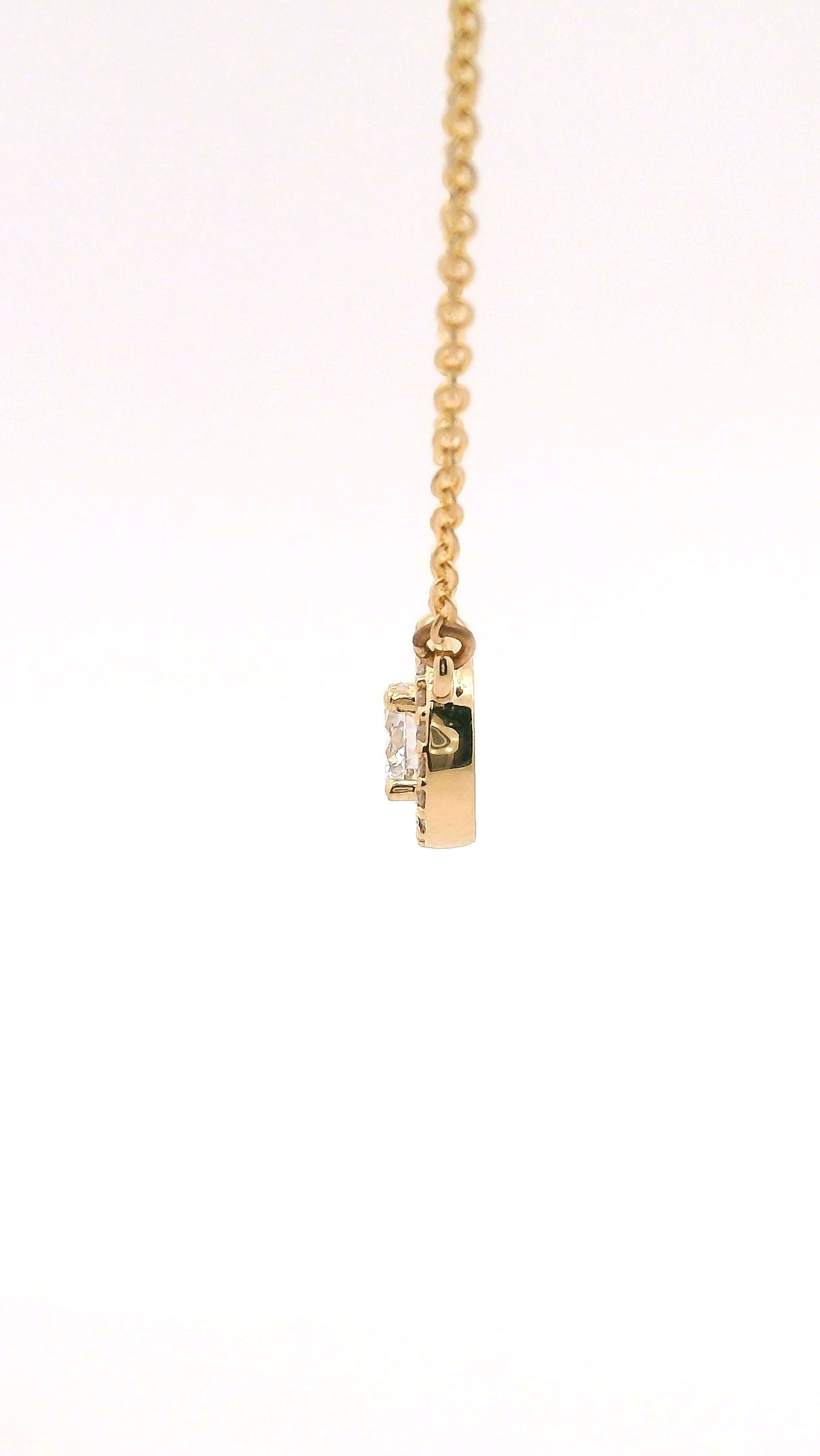 Collar Redondo y Halo